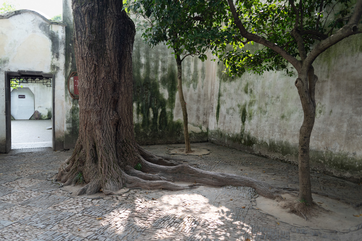 011_Benedetta Manzi_DSC_4156