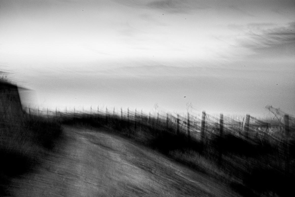 DSC_0052_2
